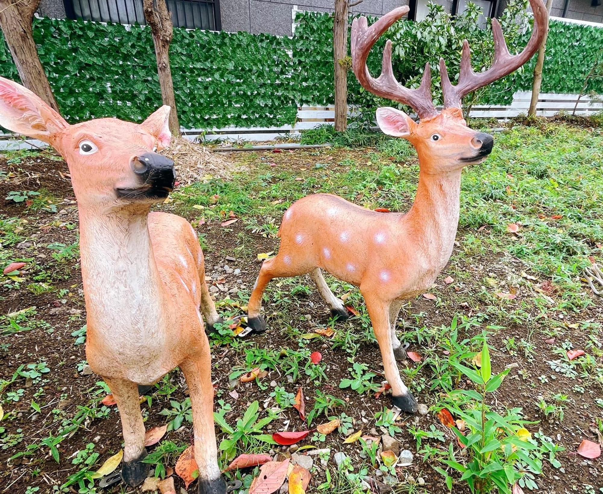 Vacation Stay Fuji - 桜館 Fujikawaguchiko Exteriör bild